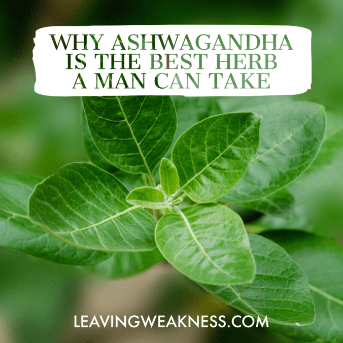 Why Ashwagandha Is The Best Herb A Man Can Take