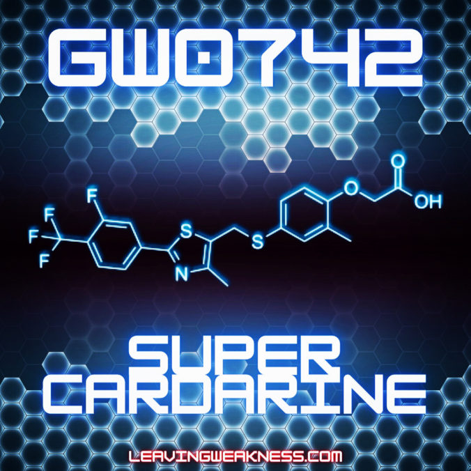 GW0742 Super Cardarine Review