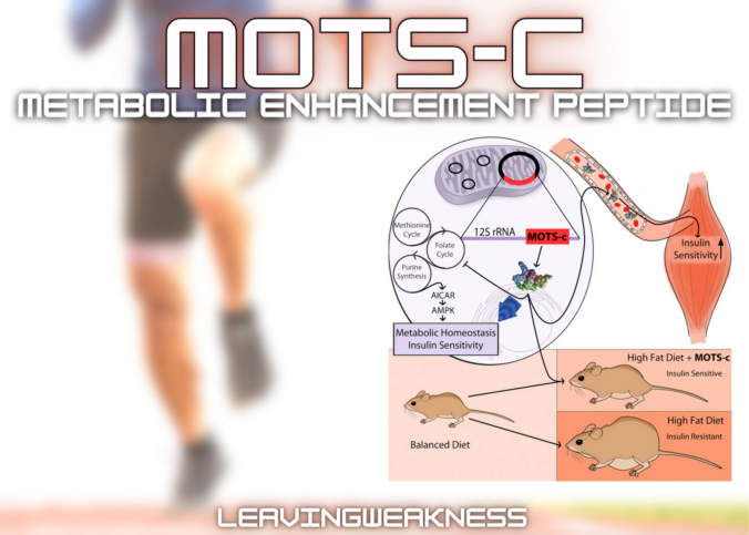 MOTS-c Metabolic Enhancement Peptide